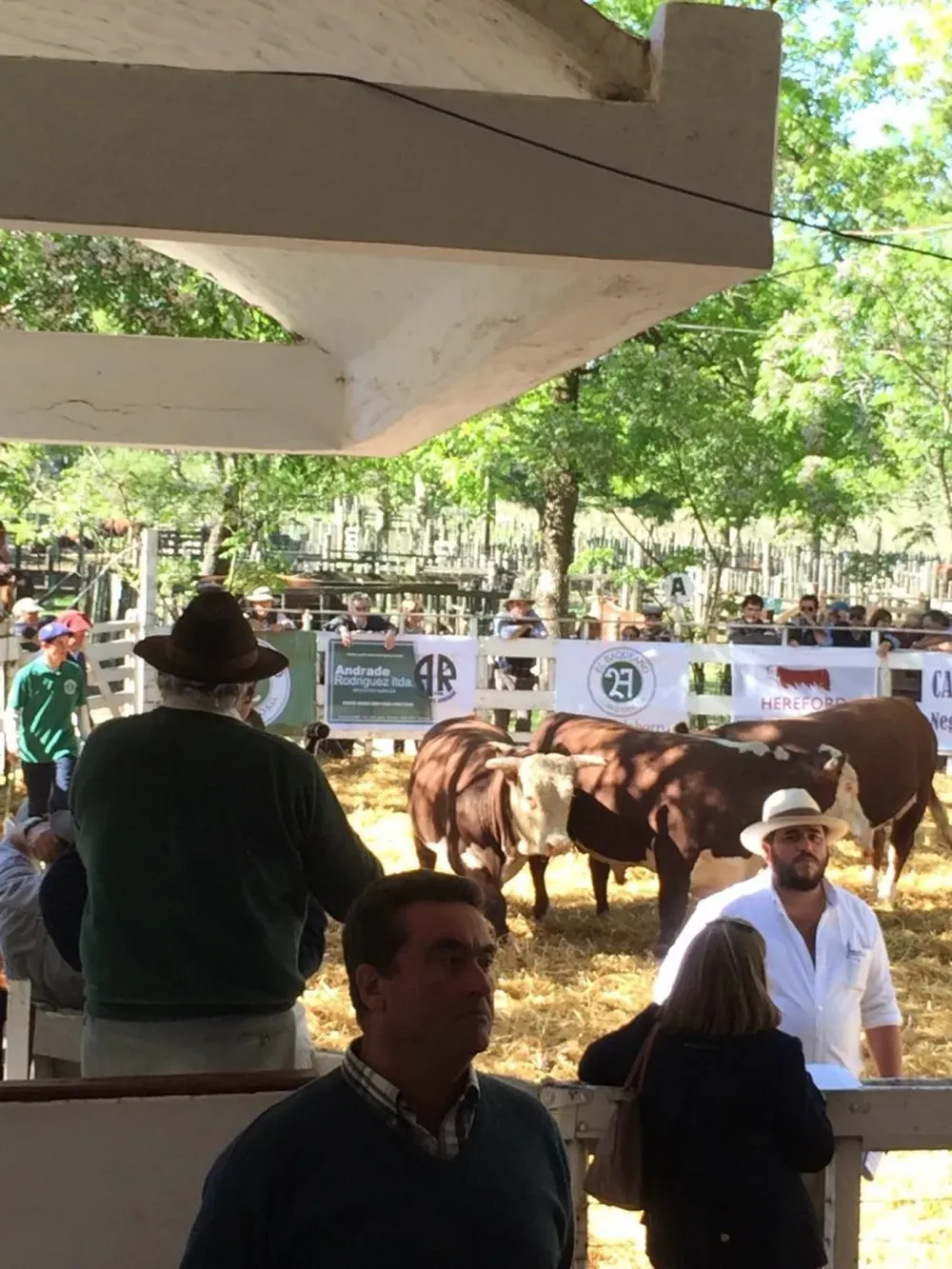 Remataron, en Durazno, Andrade Rodríguez, Carlos Calvo y Andrés Puig.