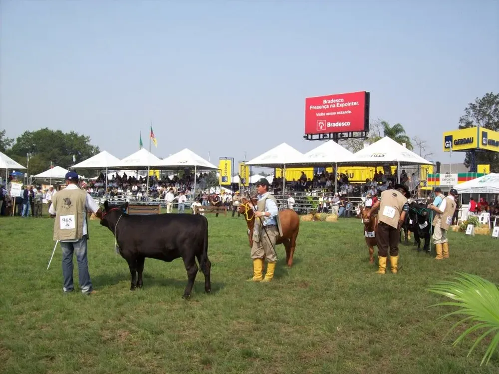 Uruguay tendrá una presencia importante en la pista del Angus con la cabaña Bayucuá.