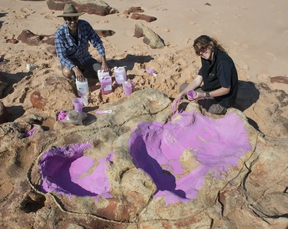 Científicos crearon un molde de silicona en la huella de un dinosaurio, en Australia