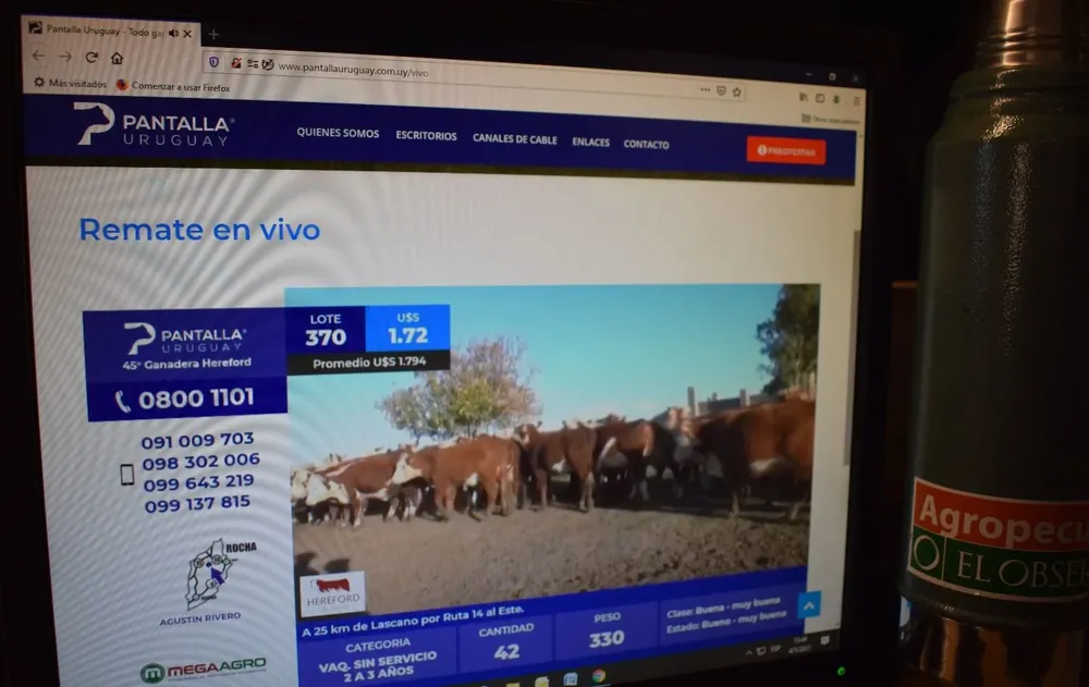 Pantalla Uruguay cerró otra subasta con muy buenos indicadores.