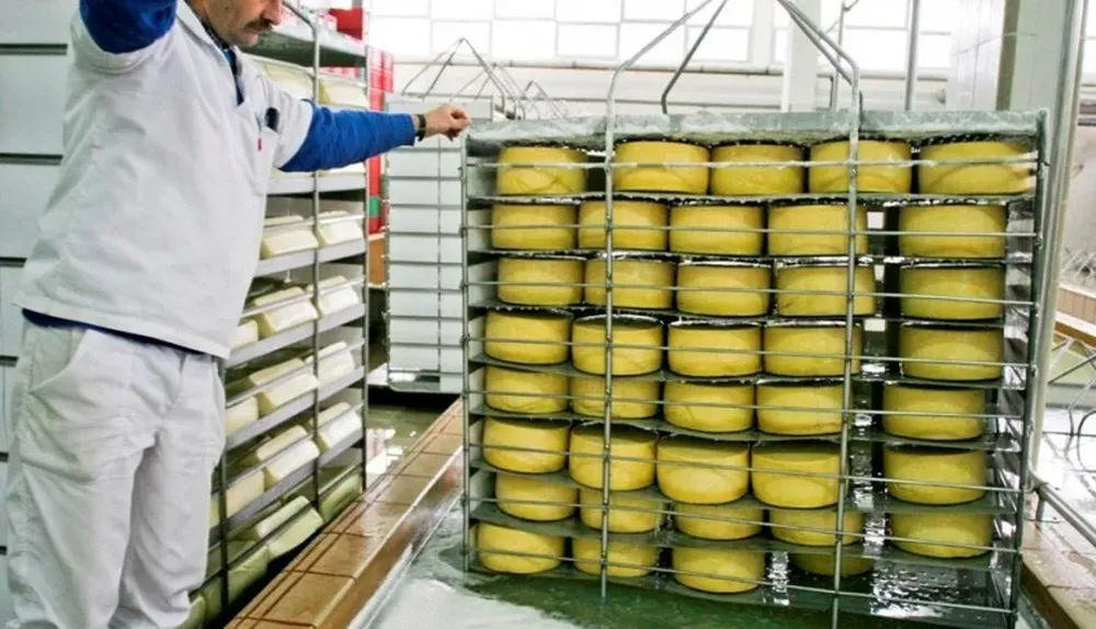 Las exportaciones de lácteos durante el primer semestre aumentaron 24% sobre igual período de 2013