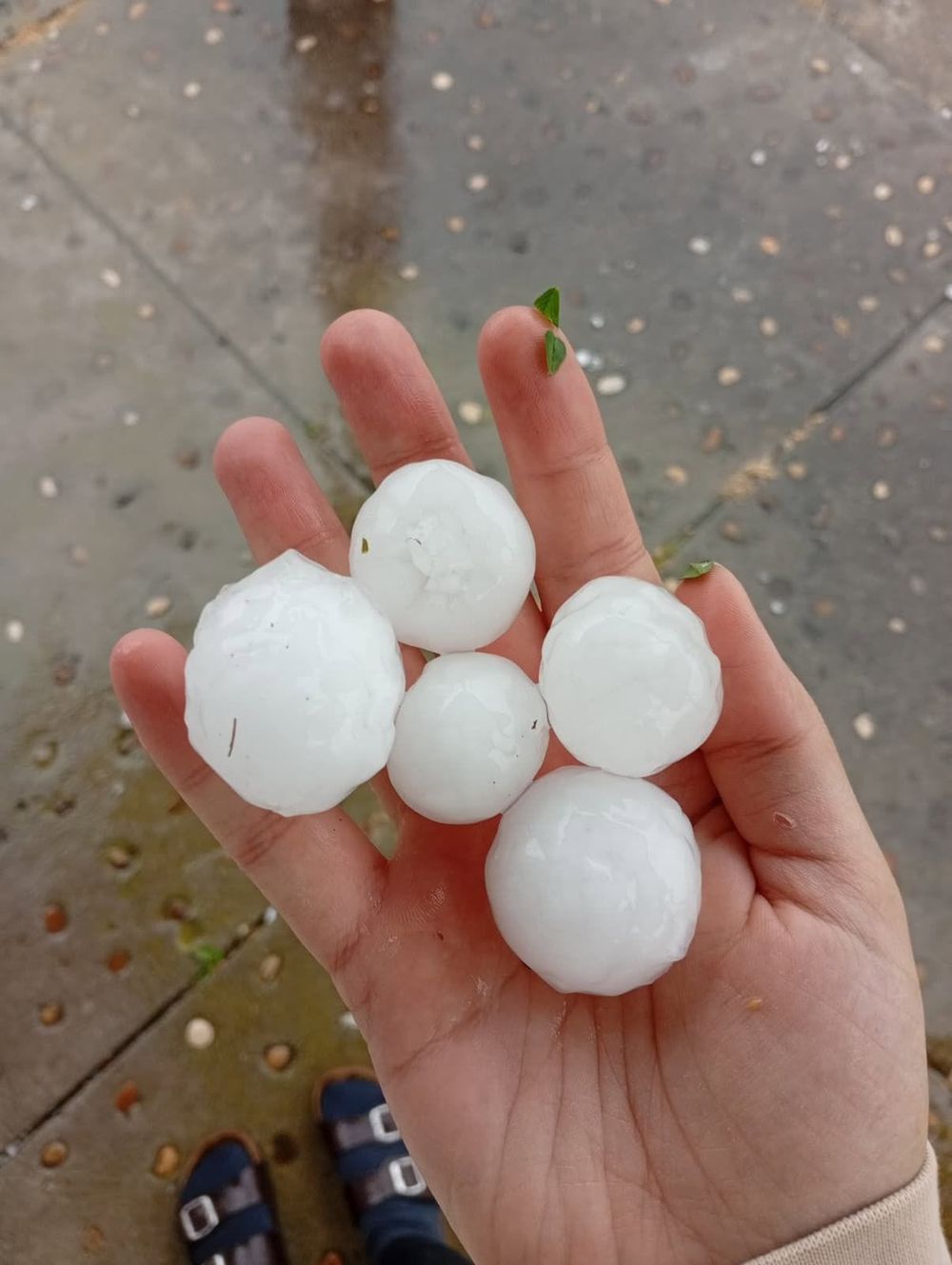 Granizo que cayó en Río Negro, cerca de la localidad de San Javier