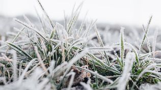 Pronóstico del clima de Inumet
