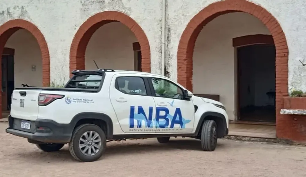 Veterinarios llamaron a la responsabilidad para terminar con la superpoblación canina.