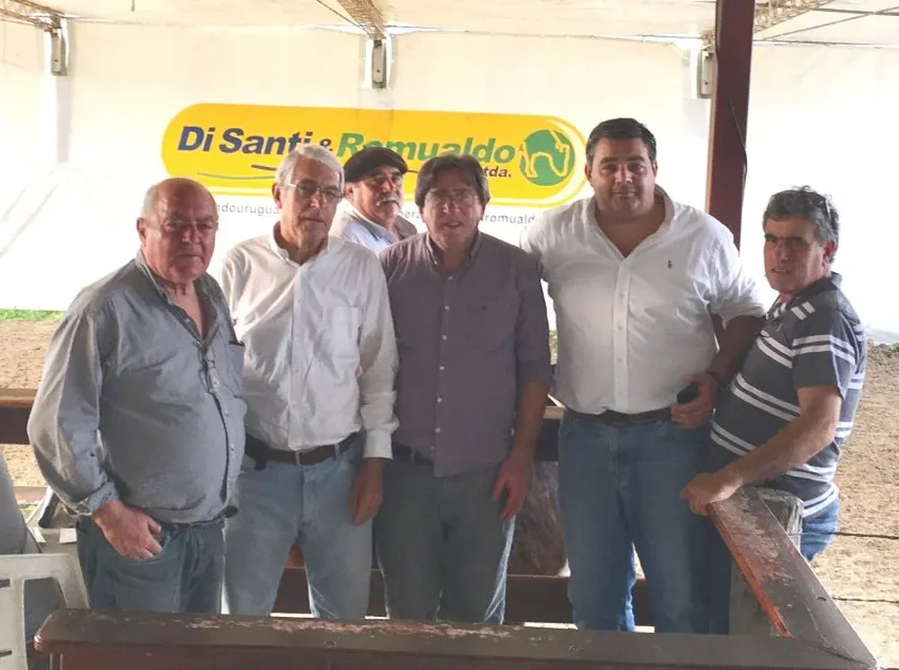 Remate con la conducción y administración de Di Santi & Romualdo Ltda