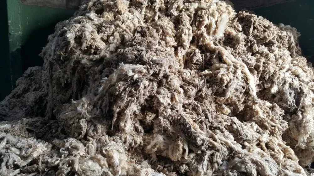 En el sistemas de ventas de CLU las lanas Corriedale registraron un máximo de US$ 4,58 el kilo