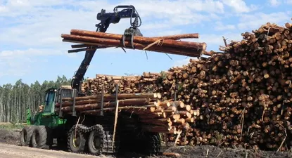 Entre enero y mayo aumentó 60% cantidad de proyectos de inversión promovida