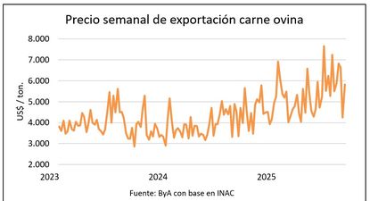 los corderos superan los us$ 5 por kilo y el precio de la lana trepo al maximo en 20 meses