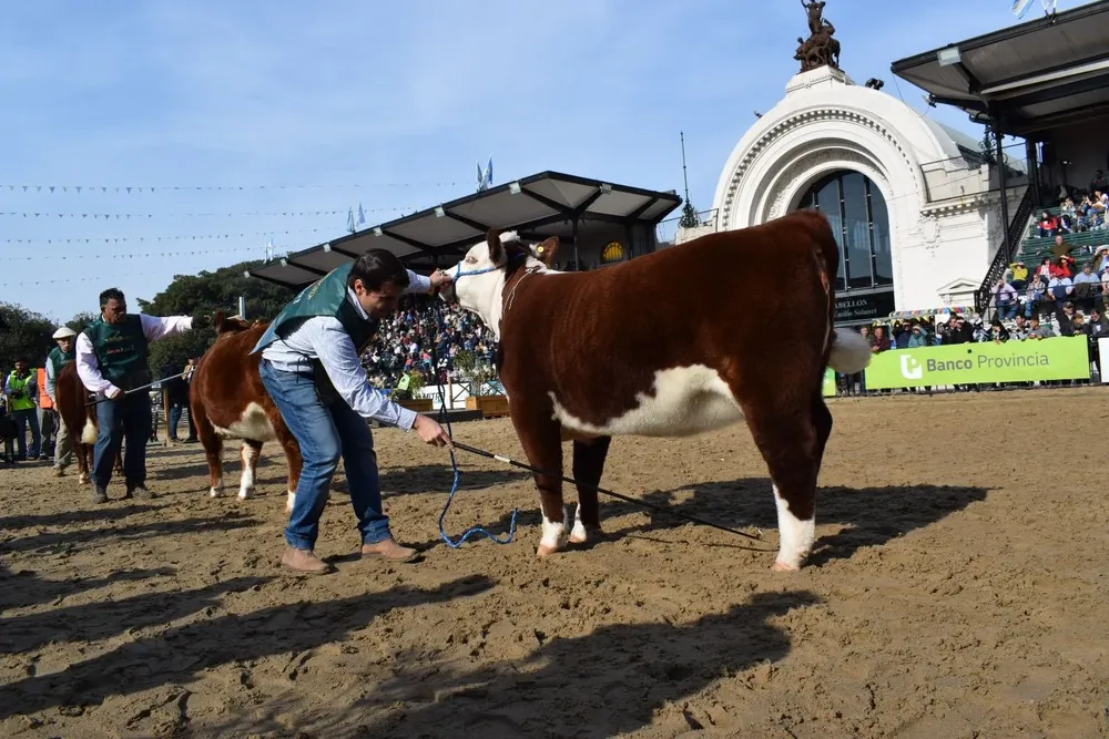 Rodrigo Fernández y la Campeona Ternera Mayor