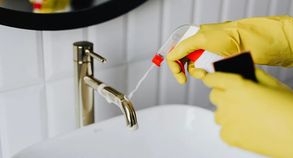 Empleadas domésticas llevaron reclamos al Parlamento