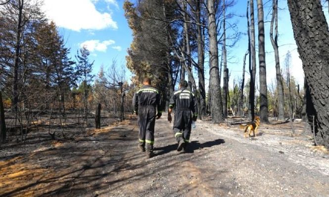 Incendios forestales en la Patagonia: la lluvia disminuyó la intensidad del fuego