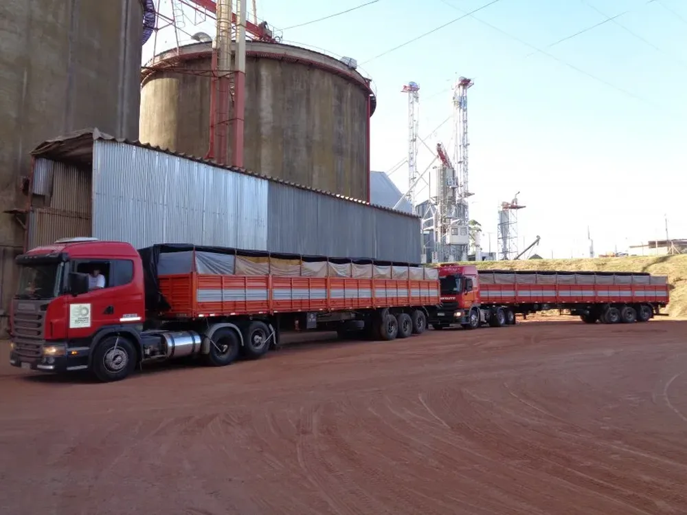 Los remitentes del grano a Calmer obtuvieron US$ 227 por tonelada.