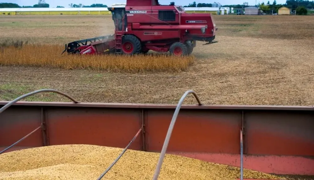 El mundo tendrá cosecha récord de cereales en 2014