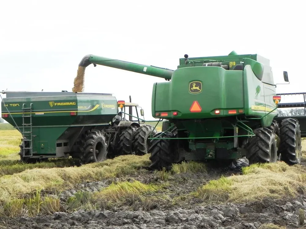Cosecha de arroz en campos de Treinta y Tres.