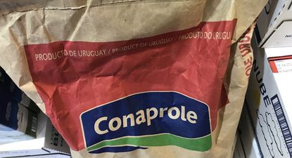 Lácteos: Conaprole es el mayor exportador y la leche en polvo entera el producto que lidera en las ventas externas.