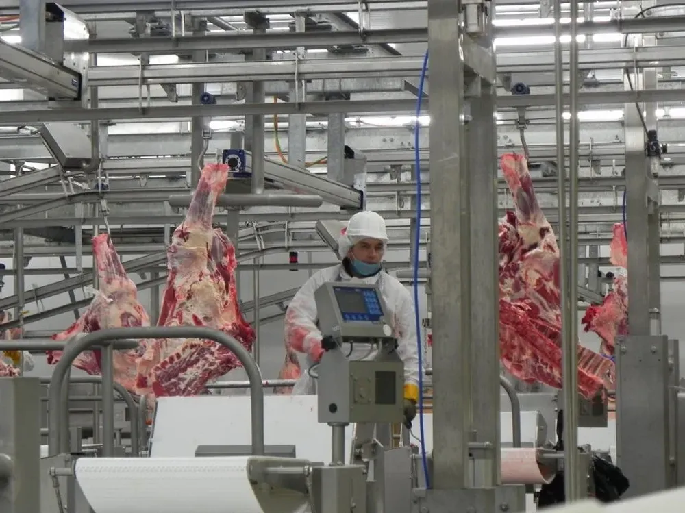 La faena de vacunos sigue próxima a las 50 mil cabezas.