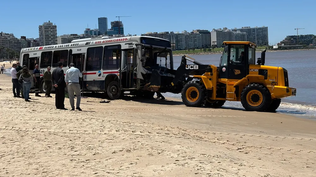 Cutcsa habló por primera vez tras accidente del ómnibus en Playa Pocitos: Cualquier declaración adicional podría basarse en especulaciones