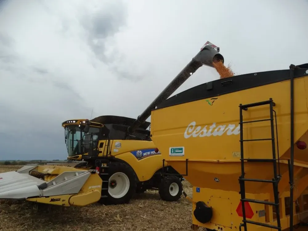 El sector productivo es un fuerte demandante de gasoil para generar, movilizar y procesar productos.