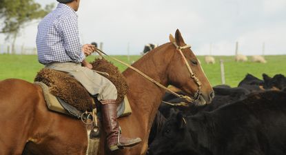 Concurso fotográfico que hace foco en los pastores y los pastizales.