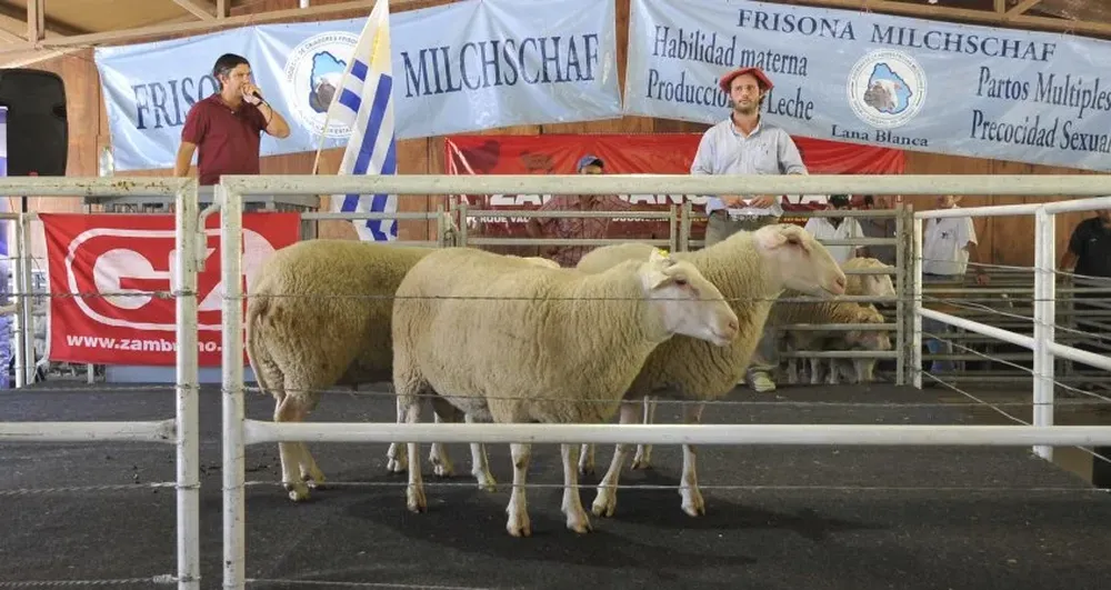 Alejandro Zambrano fue el encargado de comercializar una genética de alto valor.