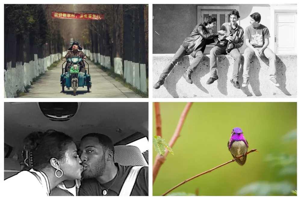 Una sátira china, un clásico de aniversario, un documental candidato al Oscar y naturaleza en Netflix