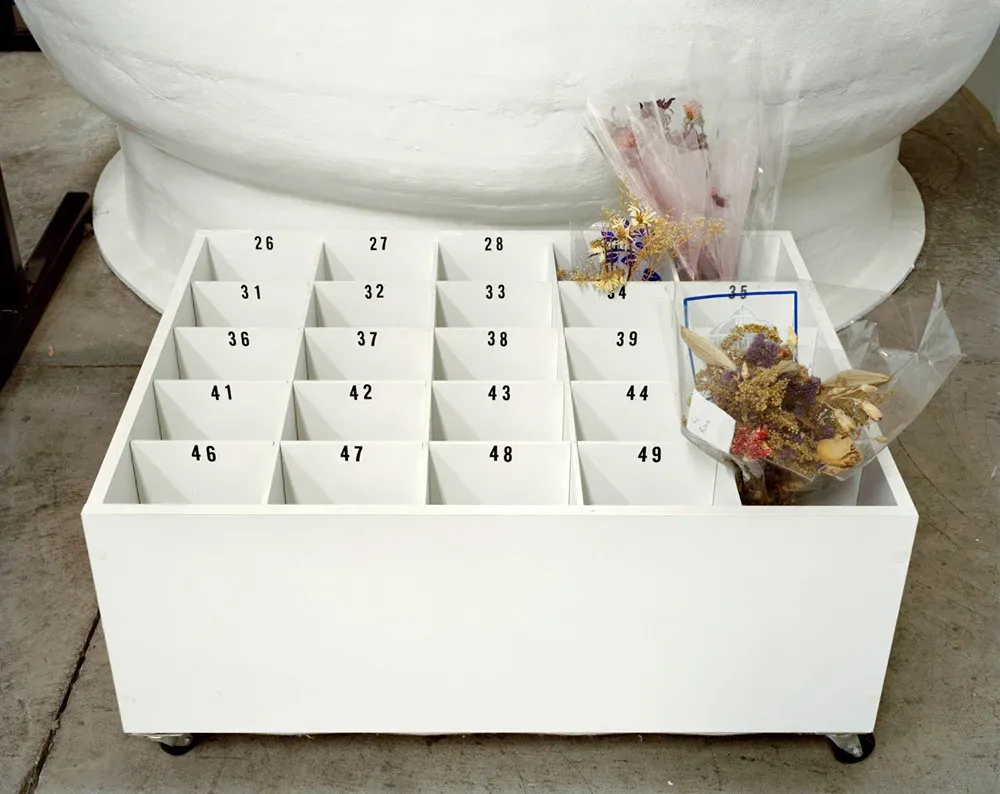 Caja de flores en el Cycronics Institute, Detroit (2010)