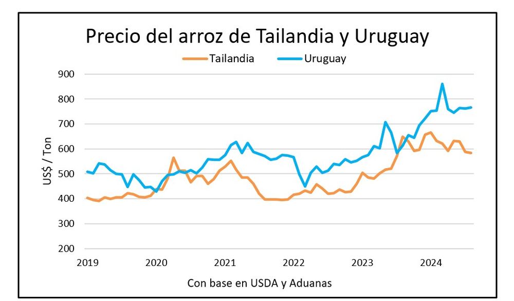 El arroz, uno de los granos más comercializados en todo el mundo.