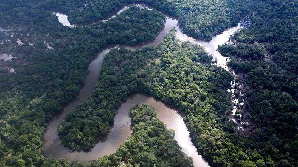 A medida que el cambio climático calienta la cuenca del Amazonas, la selva tropical puede volverse más seca, como las zonas que bordean el río La Bomba.