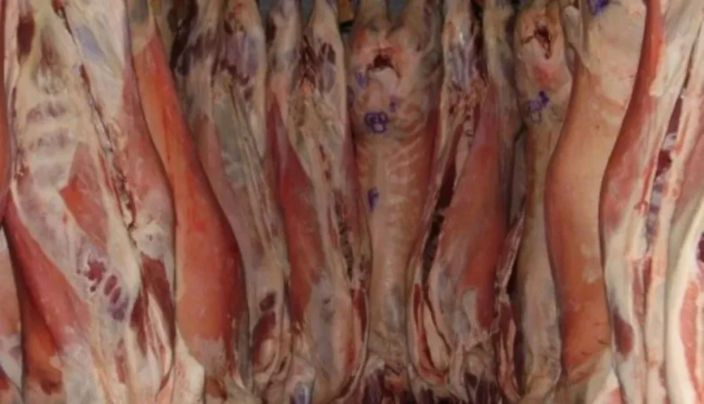 El negocio de la carne ovina sigue firme
