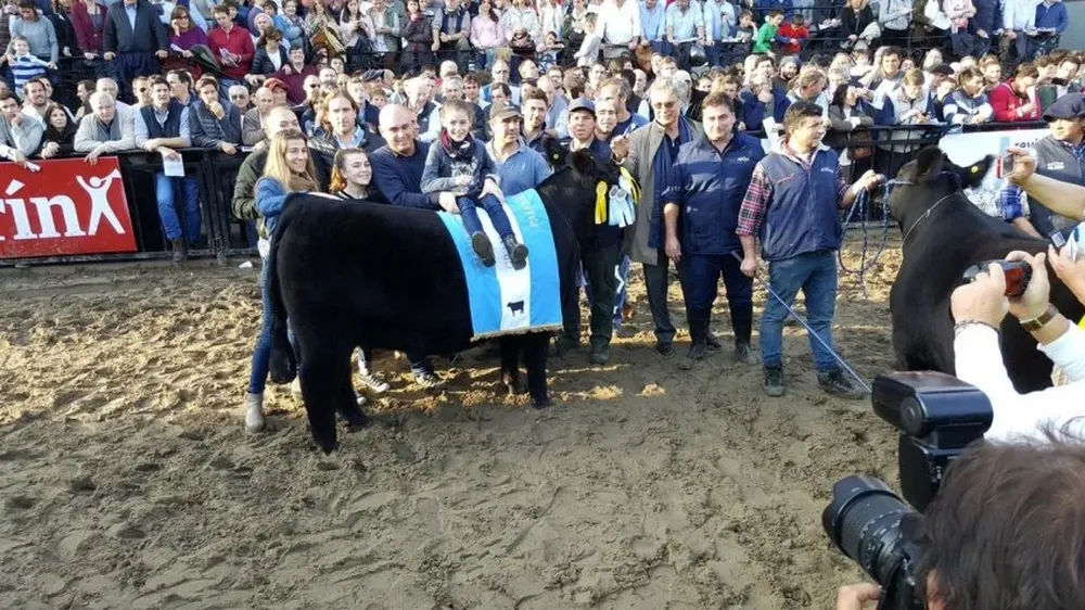 La Gran Campeona Aberdeen Angus es coronada en la Expo Palermo