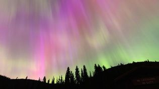 La aurora boreal se vio en Manning Park, Columbia Británica, Canadá.