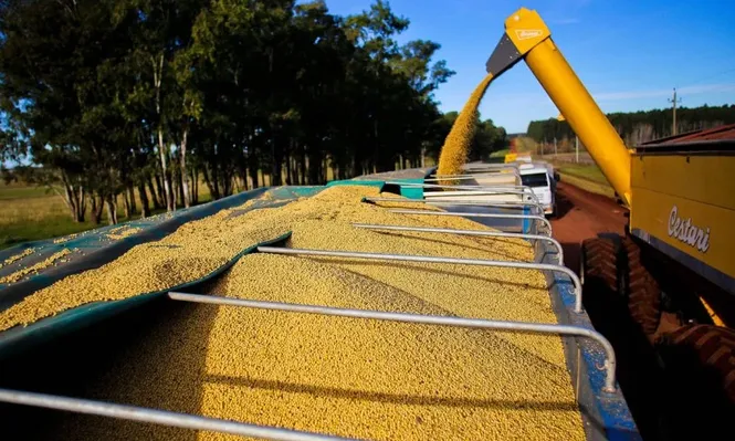 Crecen ventas, pero ánimo de algunos exportadores no mejora