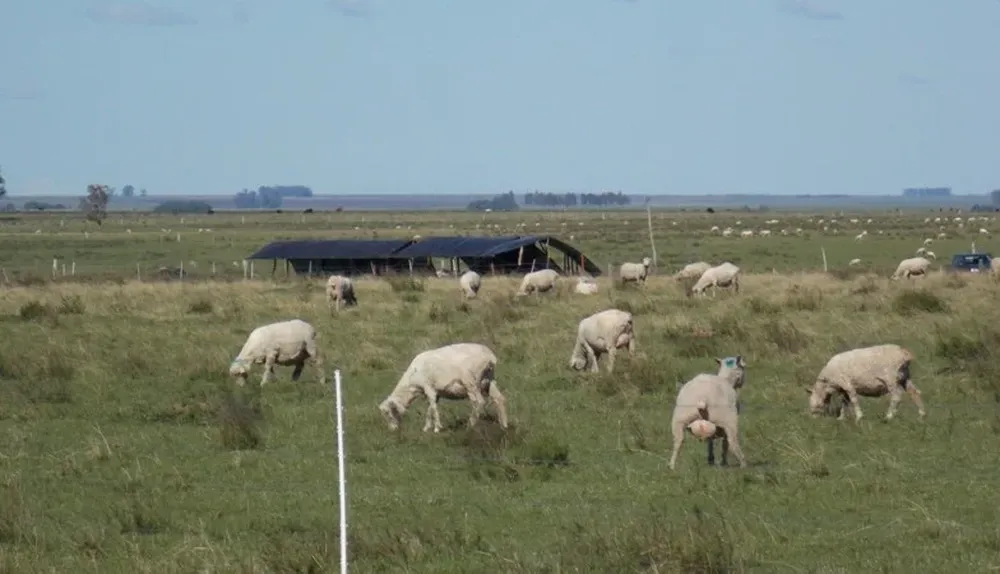 Un aporte destacado para los productores