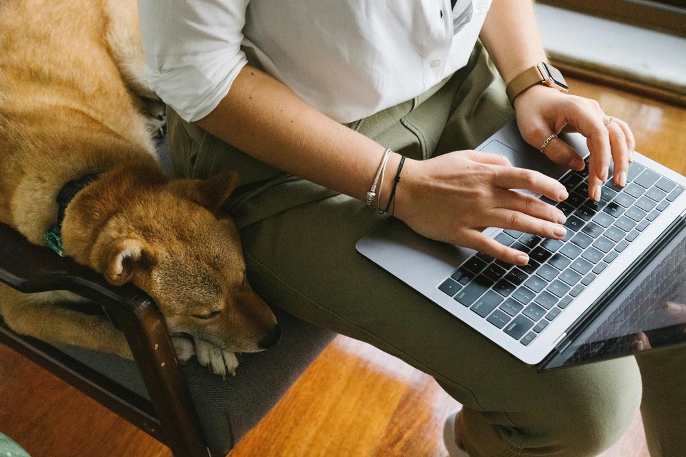 Trabajar desde casa con una mascota como perro o gato mejora el bienestar emocional. &nbsp;