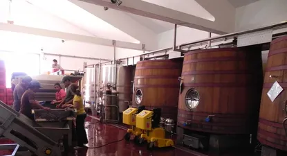 El Observador | Intensa actividad hay durante estos días en las bodegas