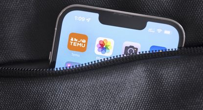 Temu es investigado por la Unión Europea por venta de productos ilegales