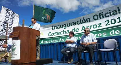 El Observador | 1553802050301.webp