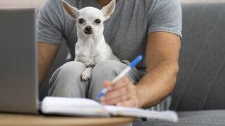 Este puesto laboral requiere idioma inglés y español.