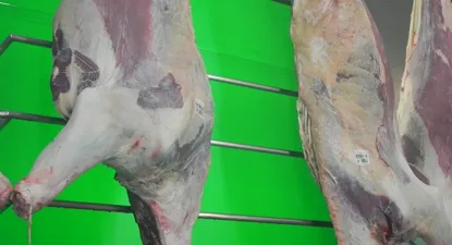 El Observador | 0023012242.webp