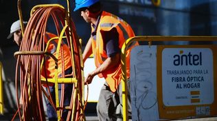 Los ganancias millonarias de Antel en 2024: ¿qué dice el balance?