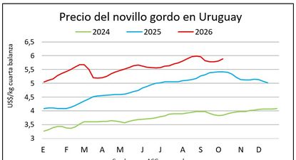 El Observador | WhatsApp Image 2026-10-16 at 11.10.37 (2)