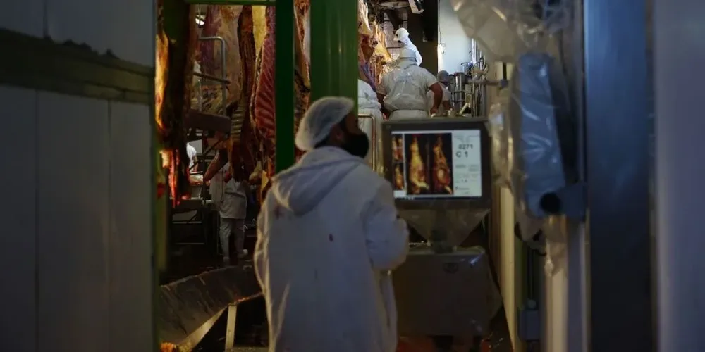 Sistema Automatizado de Tipificación.