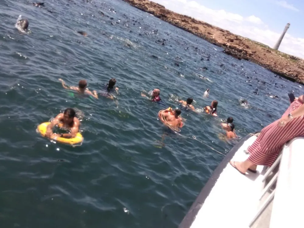 En la Isla de Lobos los turistas pueden nadar cerca de lobos marinos.