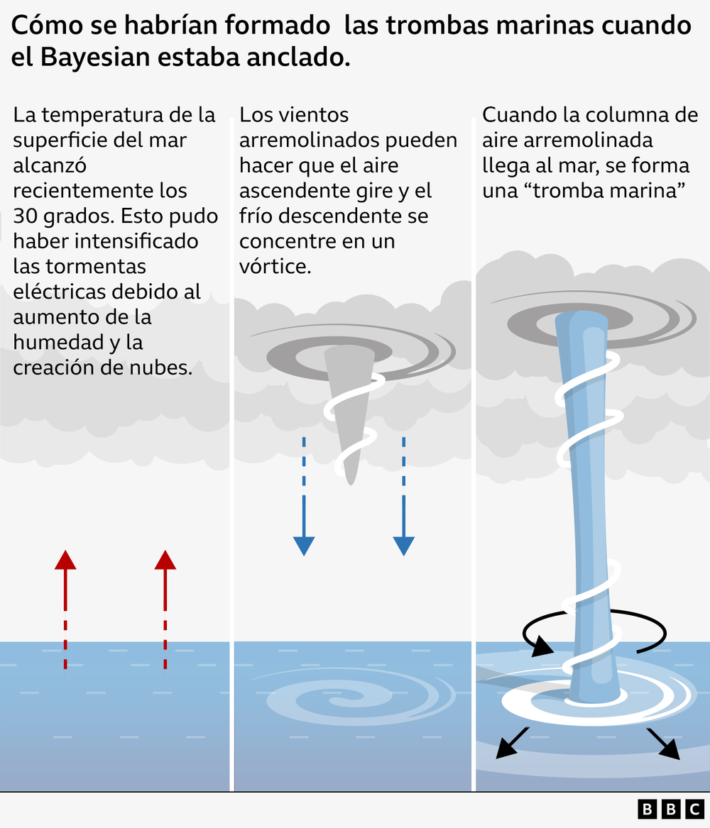 https://www.bbc.com/mundo/articles/cwy73wd79ldo
