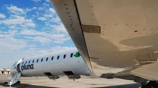 Gobierno decidió liquidar Pluna y venden aviones a mejor postor