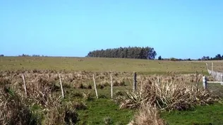 La fracción de campo tiene un área de 40 hectáreas 6.411 m2