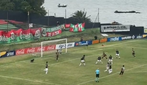 Estadio Olímpico