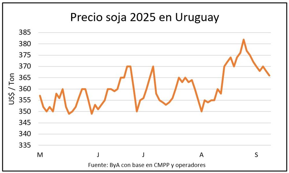 Soja en Uruguay: el precio no logra crecer y sostenerse.