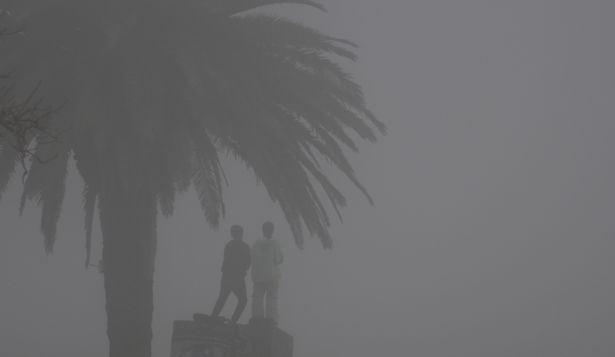 Entre niebla densa y veranillo que comienza a gestarse, meteorólogos adelantan cómo seguirá la semana en Uruguay