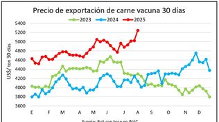 Carne vacuna de exportación a precios muy altos.
